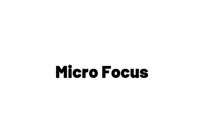 Technology Company Micro Focus