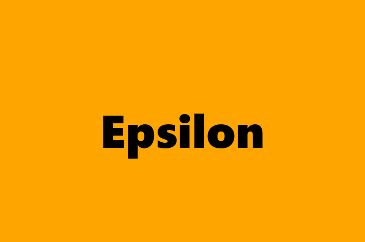 Software House Epsilon