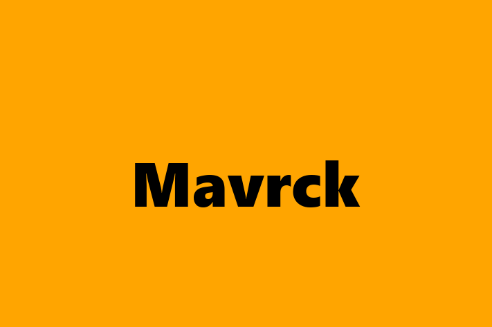 Software Development Company Mavrck