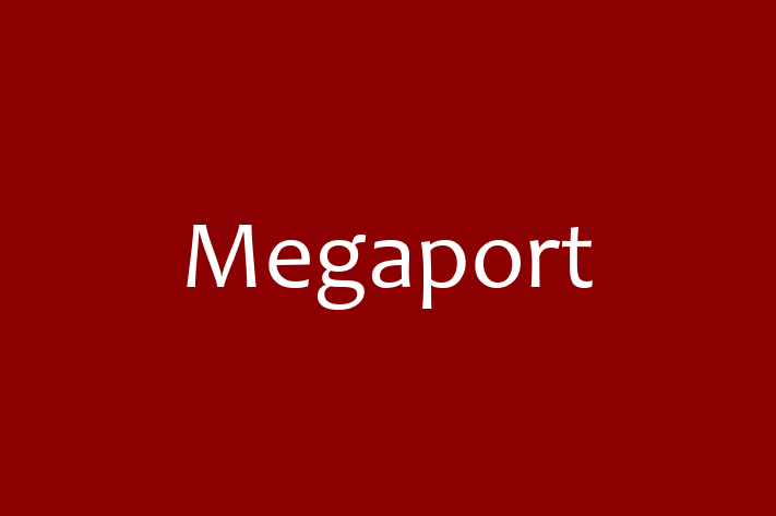 IT Company Megaport