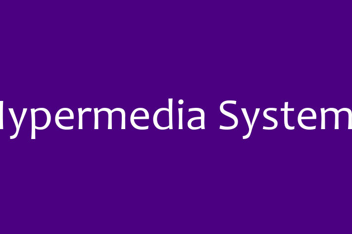 Software Development Firm Hypermedia Systems