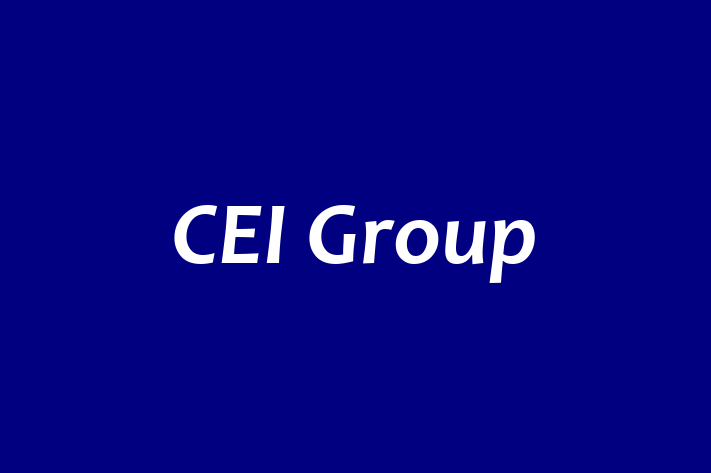 Workforce Management CEI Group