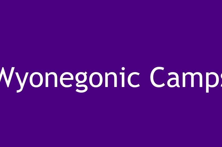 Software Services Company Wyonegonic Camps