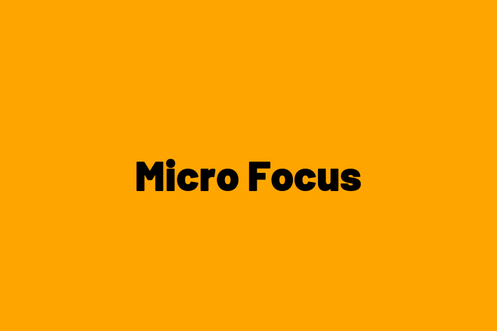 Software Engineering Company Micro Focus