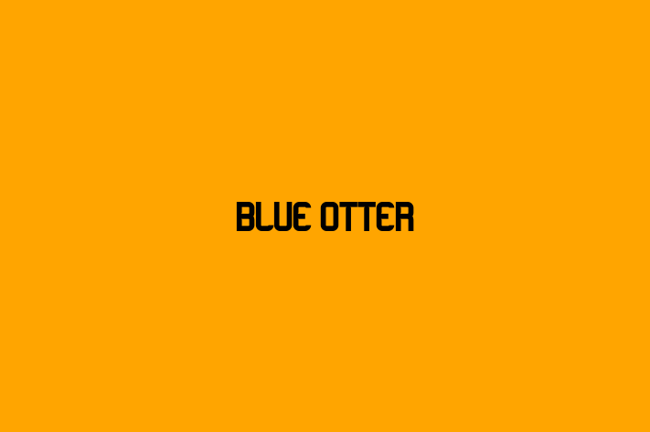 Technology Company Blue Otter