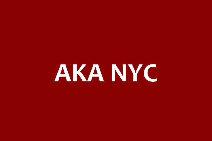 Digital Solutions Provider AKA NYC