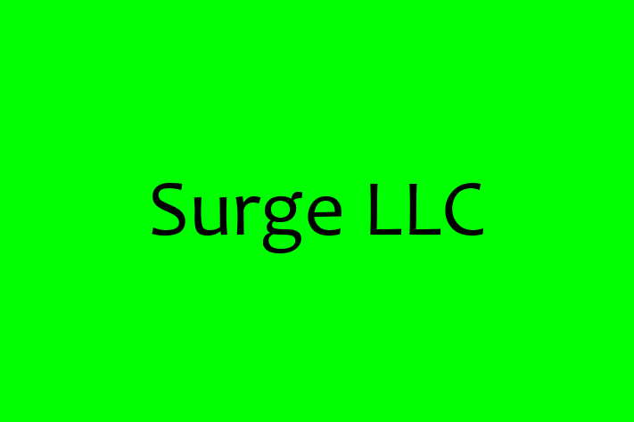 Application Development Company Surge LLC