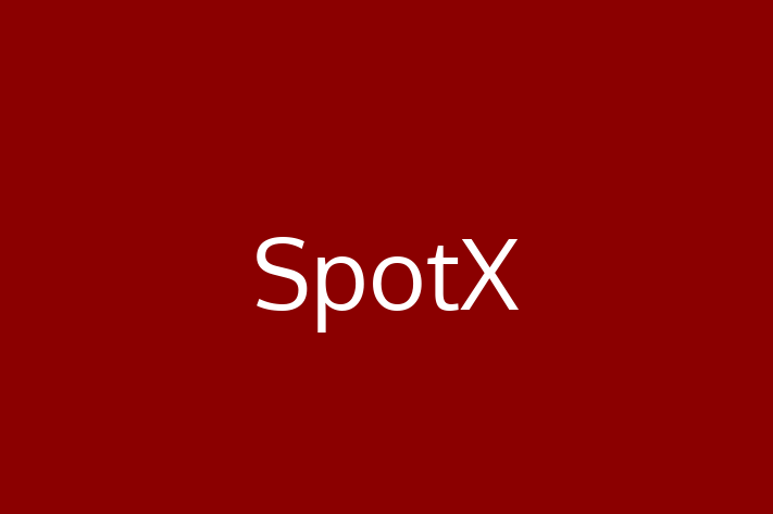 Technology Solutions Firm SpotX