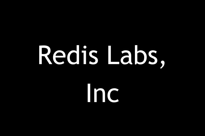 Technology Solutions Firm Redis Labs Inc