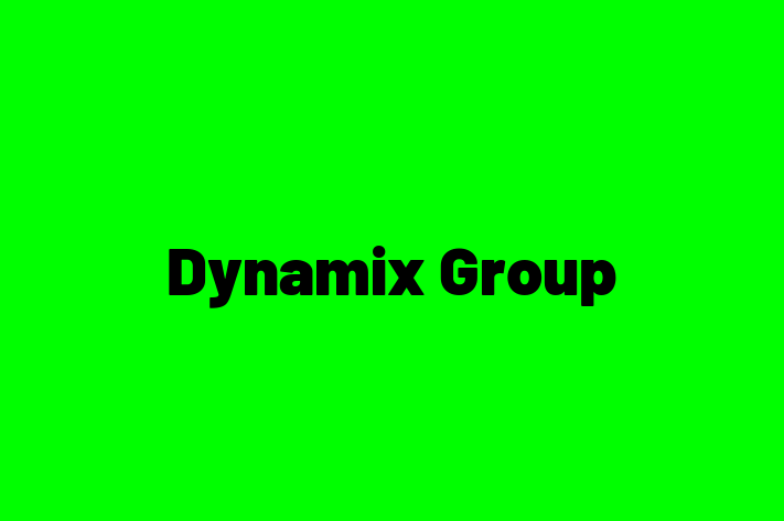 Tech Solutions Company Dynamix Group