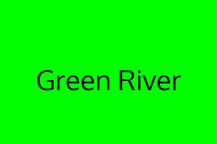 Software Engineering Company Green River