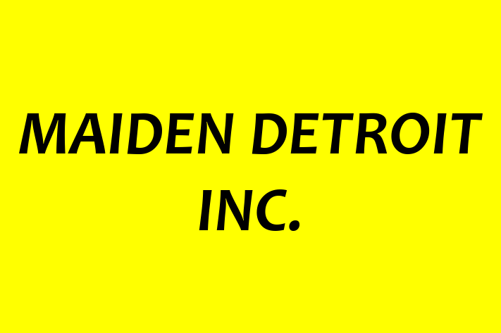 Application Development Company MAIDEN DETROIT INC.