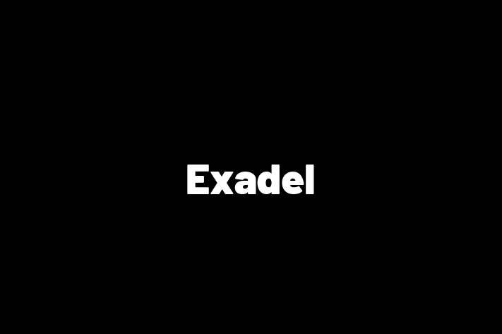 IT Company Exadel