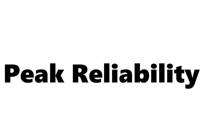 Software Development Firm Peak Reliability