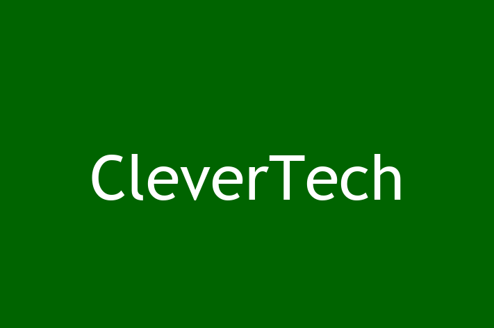 Software Consultancy CleverTech