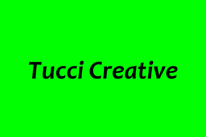 Technology Solutions Firm Tucci Creative