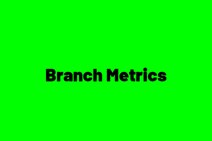 Technology Solutions Firm Branch Metrics