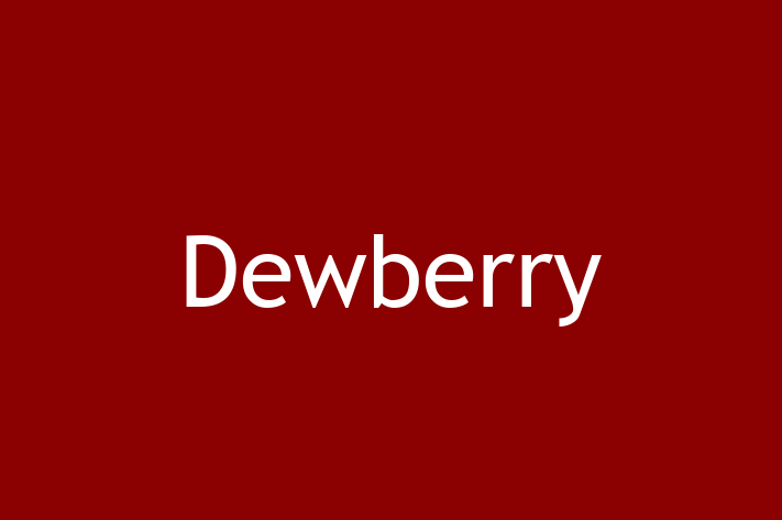 Tech Firm Dewberry