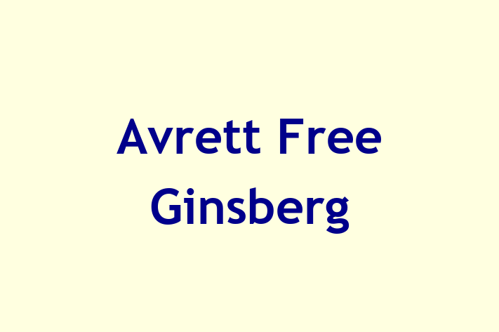 IT Company Avrett Free Ginsberg