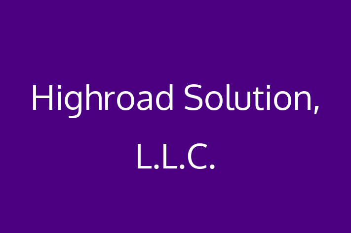 Software Engineering Company Highroad Solution L.L.C.