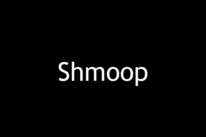 IT Company Shmoop