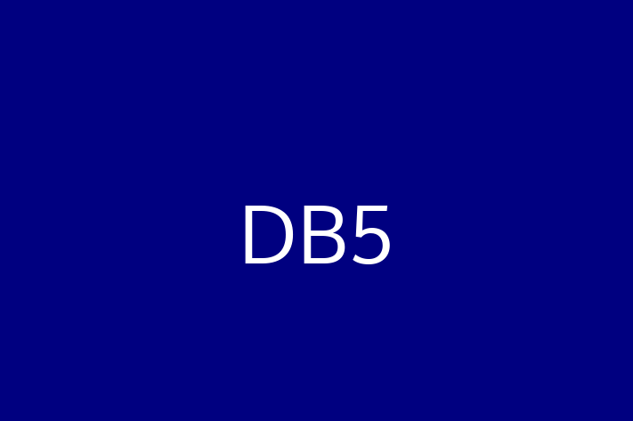 Software Firm DB5