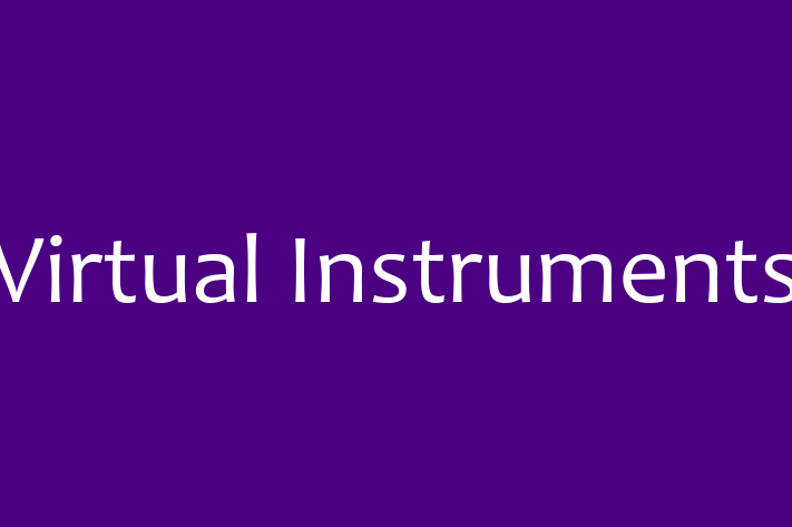 Software Engineering Company Virtual Instruments