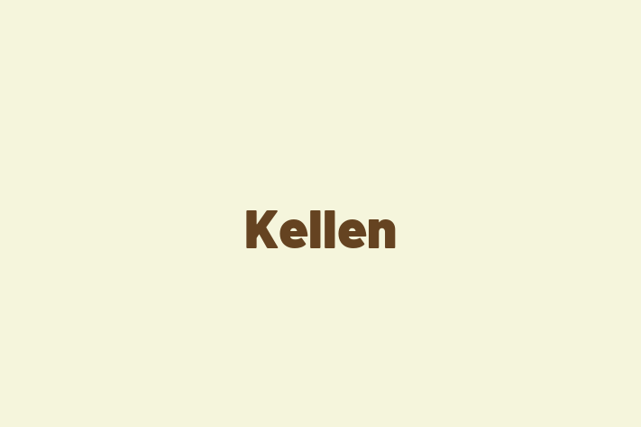 Technology Company Kellen