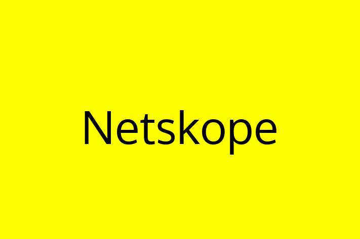 Software Solutions Provider Netskope