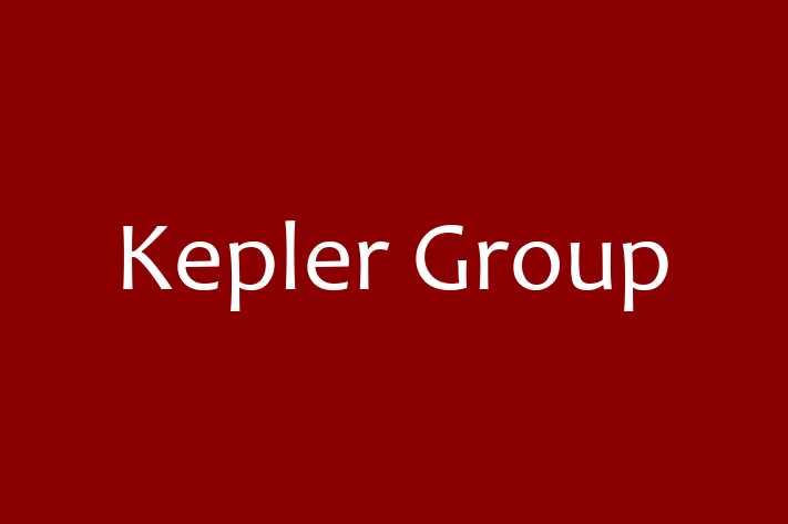 Software Development Firm Kepler Group