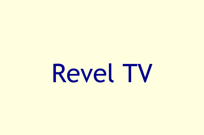 Software Consultancy Revel TV