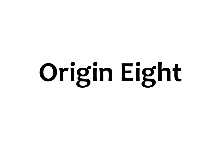 Software Development Company Origin Eight