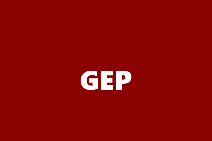 Software Engineering Company GEP