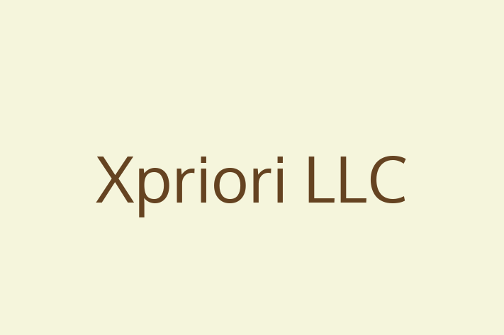 IT Company Xpriori LLC