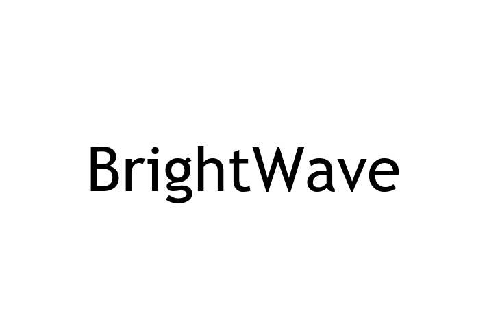 Digital Solutions Provider BrightWave