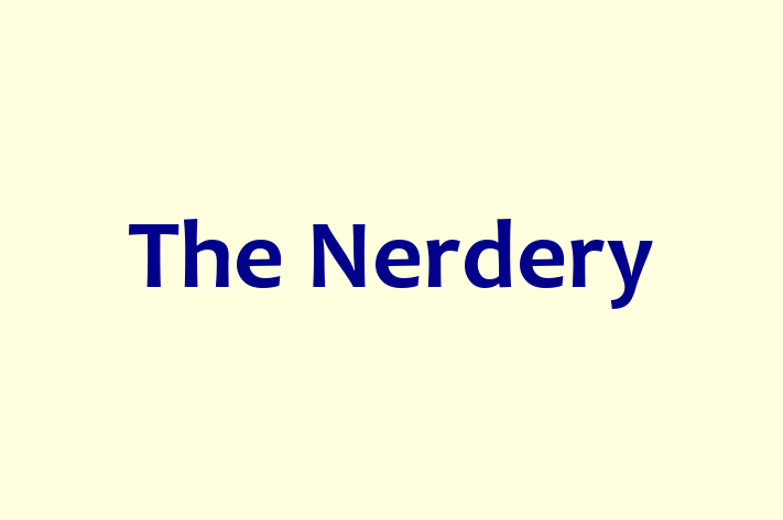 Software Development Company The Nerdery