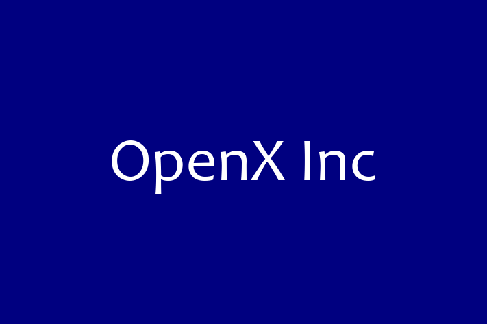 IT Company OpenX Inc