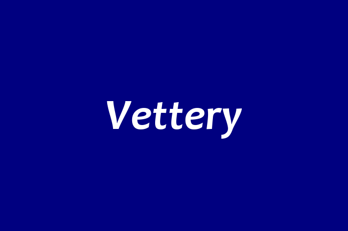 Application Development Company Vettery