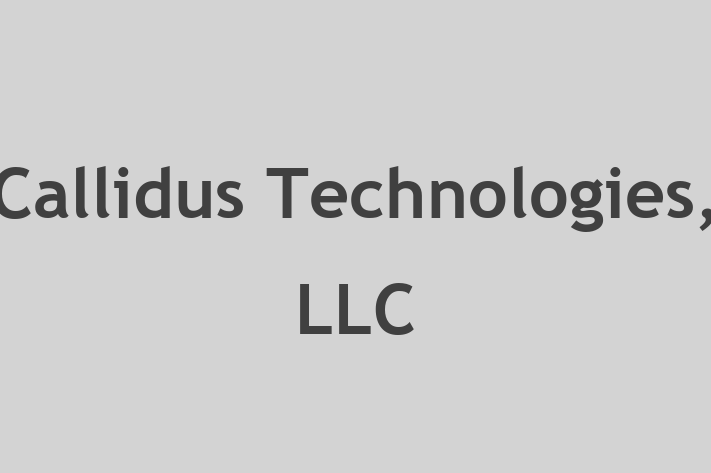 Software Firm Callidus Technologies LLC