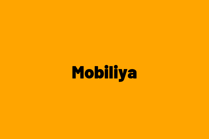 Digital Solutions Provider Mobiliya