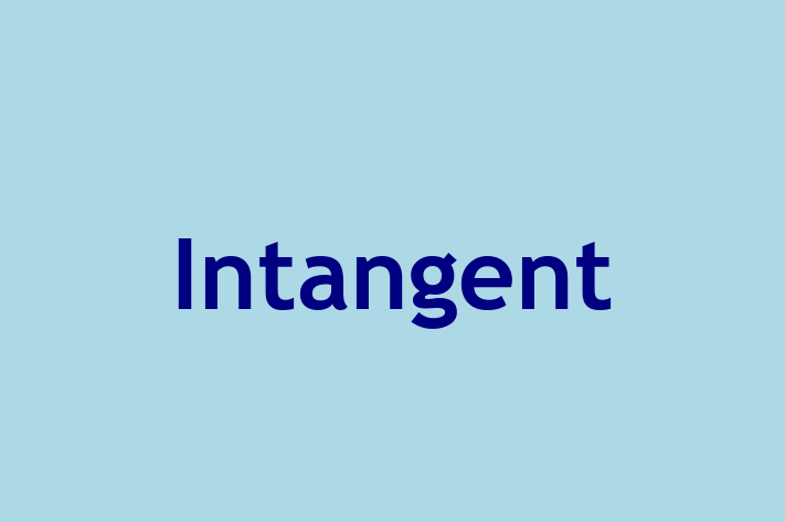 Software Solutions Provider Intangent