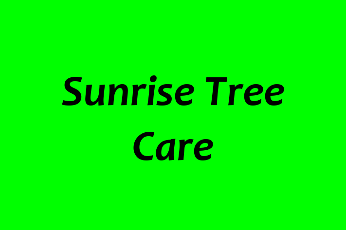 Talent Management Sunrise Tree Care