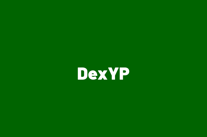 Software Services Company DexYP