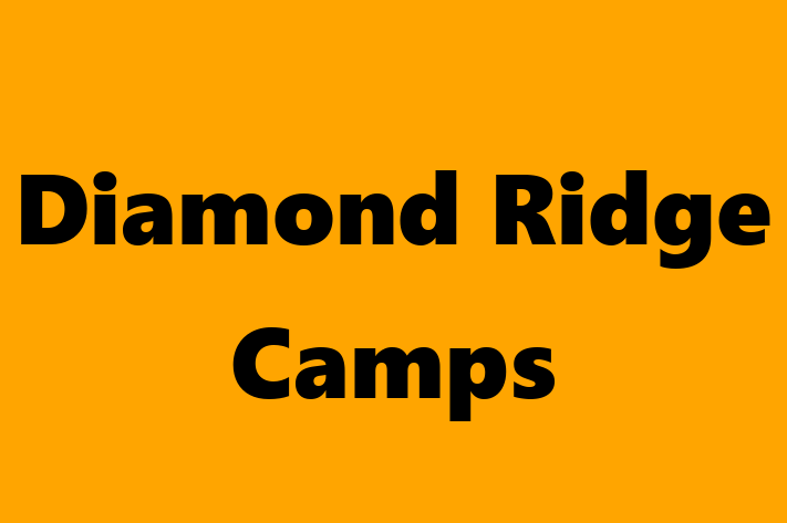 Digital Solutions Provider Diamond Ridge Camps