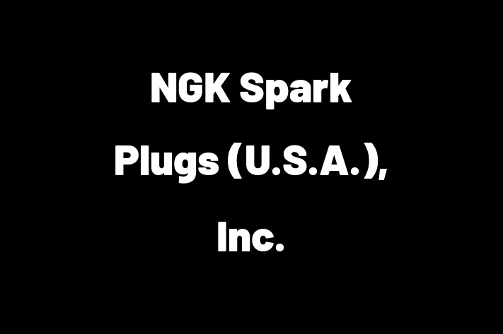 Workforce Management NGK Spark Plugs U.S.A. Inc.