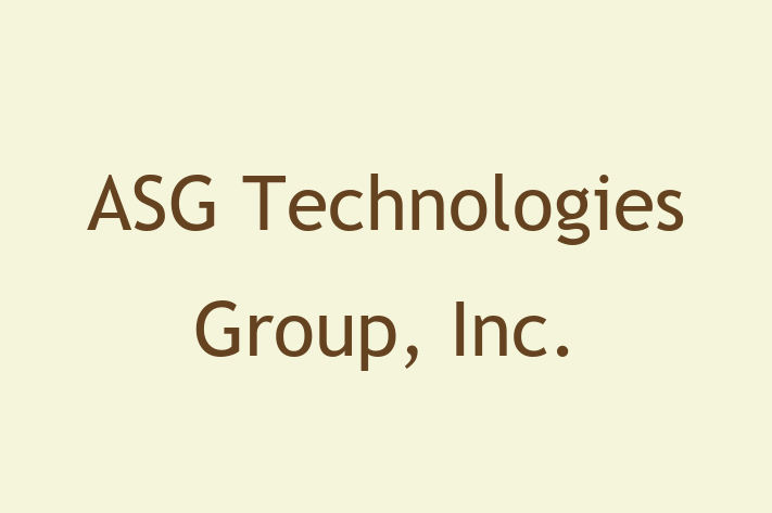 Technology Solutions Firm ASG Technologies Group Inc.