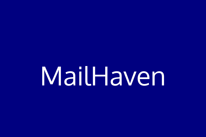 Technology Company MailHaven