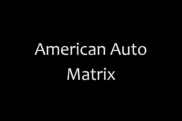 Software Services Company American Auto Matrix