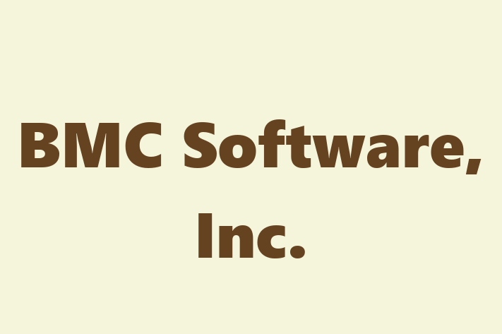 IT Company BMC Software Inc.