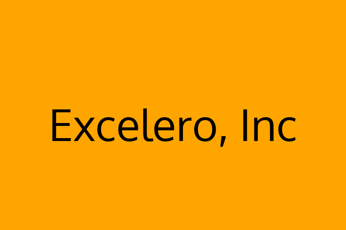 Software Development Firm Excelero Inc